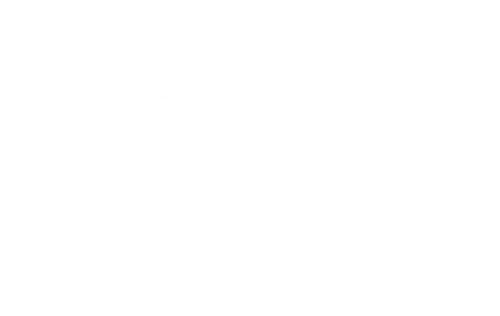 PN Logo Blanc Petit PN Logo Blanc Petit